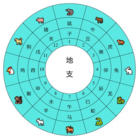 天干地支時間|天干地支時辰對照表